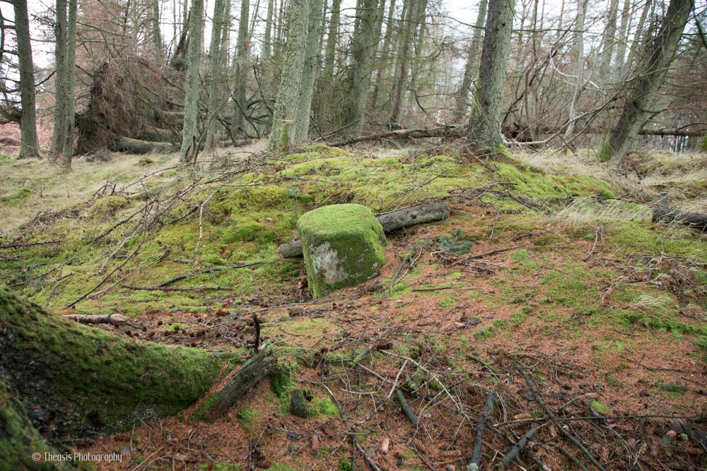 The cairn from the south and the cup mark decorated boulder